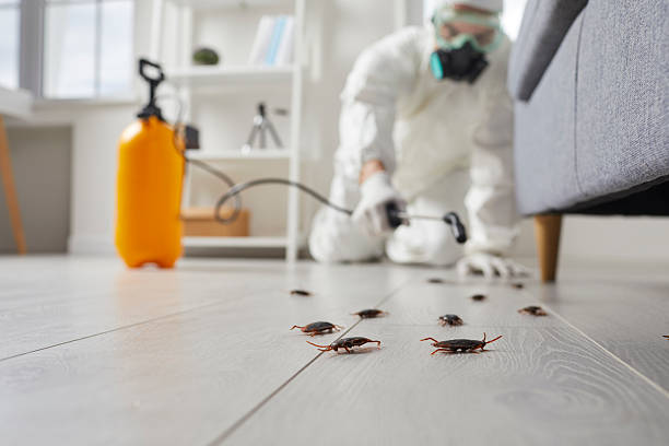 Commercial Kitchen Cockroach Control in St. Francis